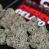 Black cherry gelato 3.5g THC 26%