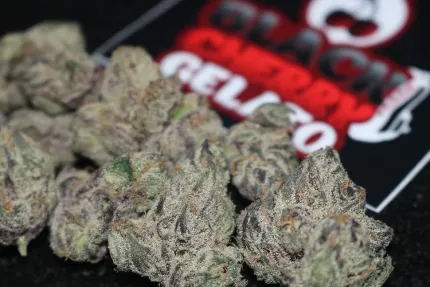 Black cherry gelato 3.5g THC 26%