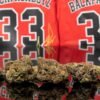 Backpackboyz 14g THC 30.642%