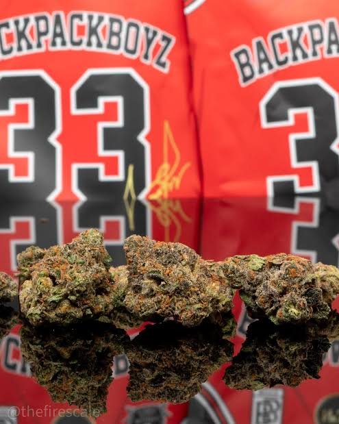 Backpackboyz 14g THC 30.642%