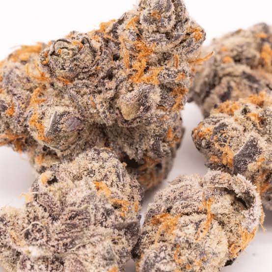 Zerbet 3.5g THC 14%
