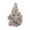 White widow THC 18%