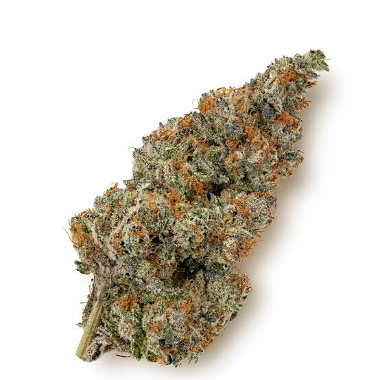 images - 2026-08-23T185353.828 Og Kush THC 26%