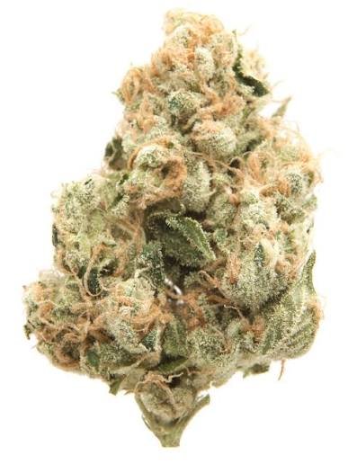 Sour Diesel THC 18%