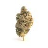 Sour Diesel THC 18%