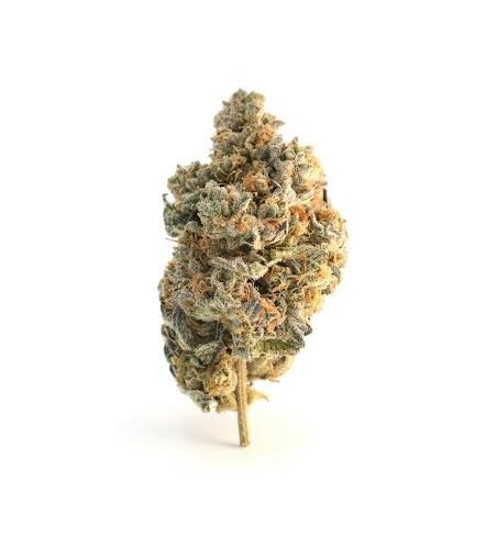 images - 2026-08-23T190120.497 Sour Diesel THC 18%