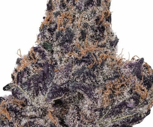 Grand daddy purple THC 27%