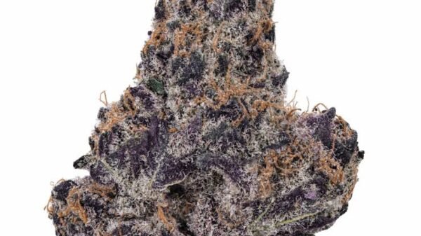 images - 2026-08-23T190432.634 Grand daddy purple THC 27%